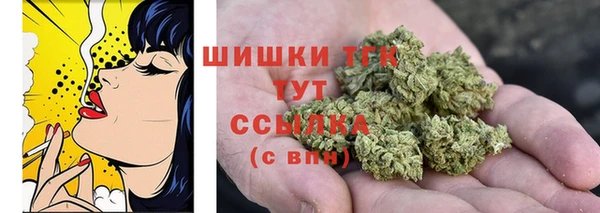 PSILOCYBIN Богородицк