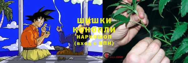 стаф Богородск