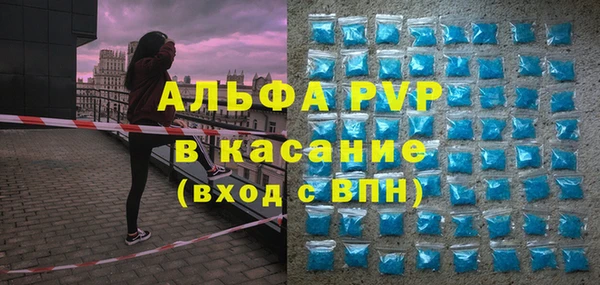 стаф Богородск