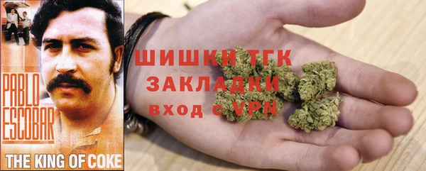 стаф Богородск