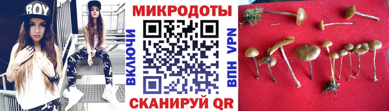 Галлюциногенные грибы Psilocybe  как найти   Берёзовский 